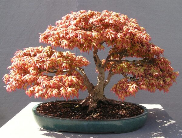 fake tree